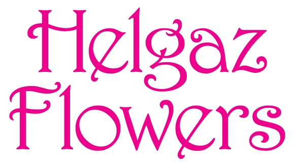 Helgaz Flowers